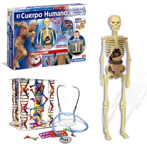 EL CUERPO HUMANO 55089 - N18321