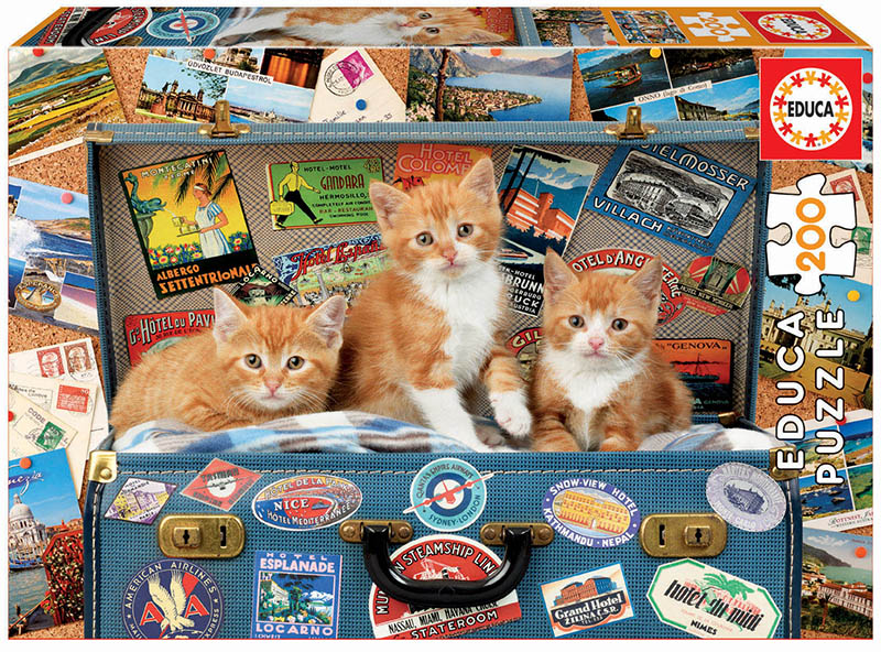 200 GATITOS VIAJEROS 18065